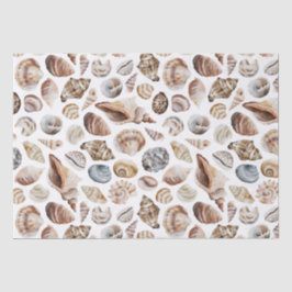 Papel De Seda Padrão de Seashell