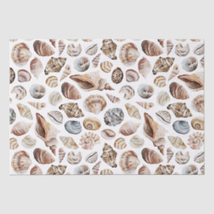Papel De Seda Padrão de Seashell