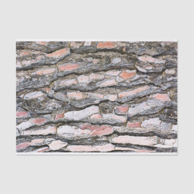 Papel De Seda Padrão do latido do pinheiro (Frente )