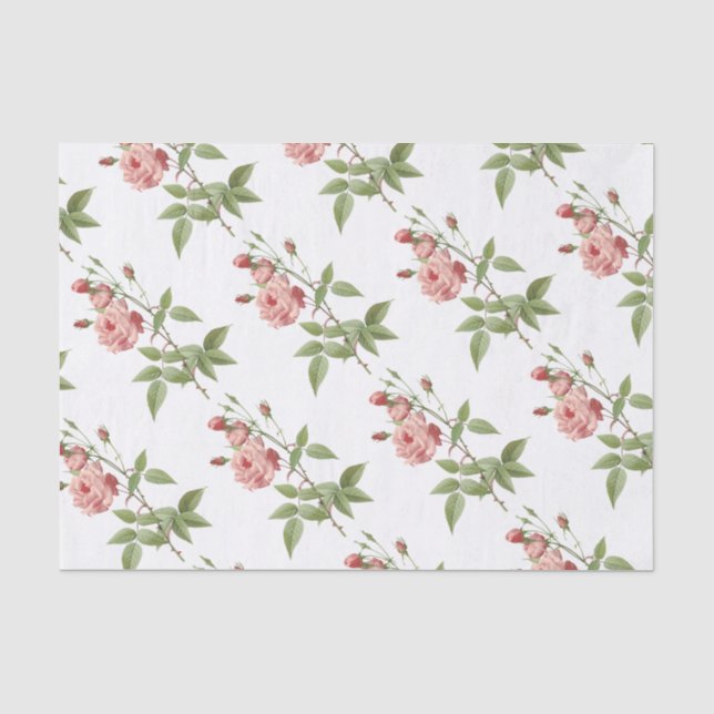 Papel De Seda Padrão do ventilador rosa (Frente )
