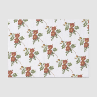 Papel De Seda Padrão do ventilador rosa