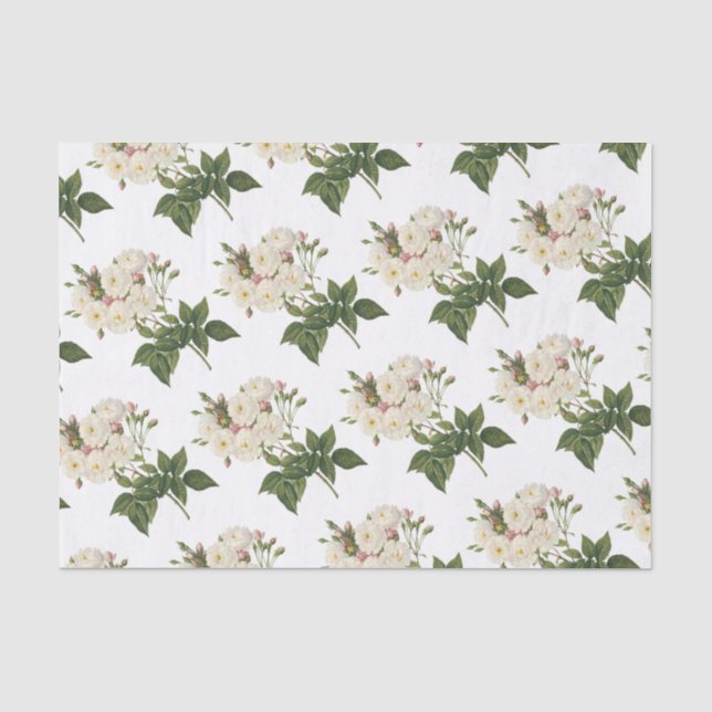 Papel De Seda Padrão do ventilador rosa (Frente )