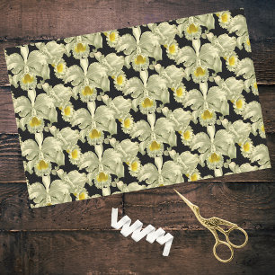Papel De Seda Padrão Elegante de Orquídea Branca em Fundo Preto