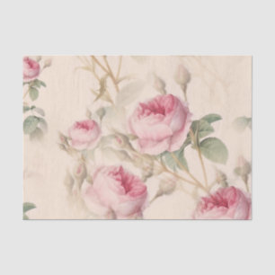 Papel De Seda Padrão Floral Elegante de Rosas Rosa