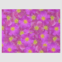 Padrão Selvagem de Rosa