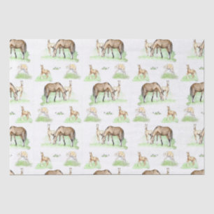 Papel De Seda Padrões de Raça e Raça de Cavalo