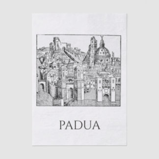 Papel De Seda Padua Minimalista Silhueta Medieval Arte Linear