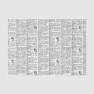 Papel De Seda Página Dicionário