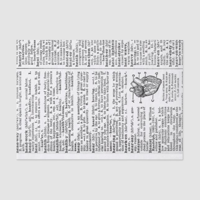 Papel De Seda Página Dicionário (Frente )