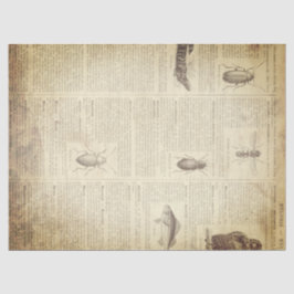 Papel De Seda Página francesa do dicionário do Grunge