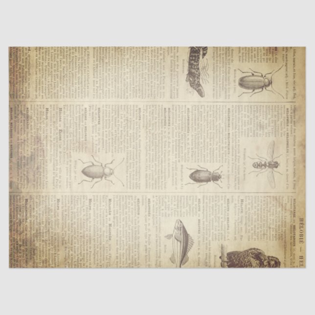 Papel De Seda Página francesa do dicionário do Grunge (Frente )