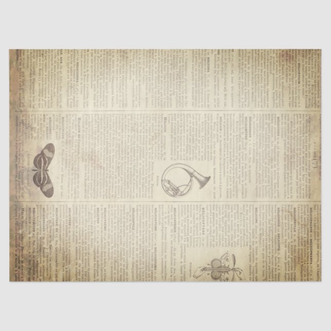 Papel De Seda Página francesa do dicionário do Grunge (Frente )