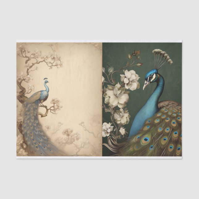 Papel De Seda Página Tecido de Pavão (Frente )