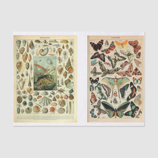 Papel De Seda Páginas do Millet (Frente )