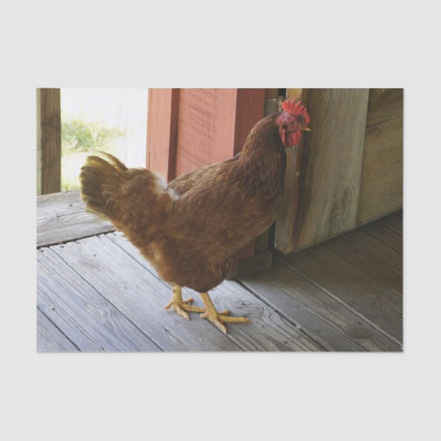 Papel De Seda País (Frente )