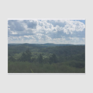 Papel De Seda Paisagem arborizada