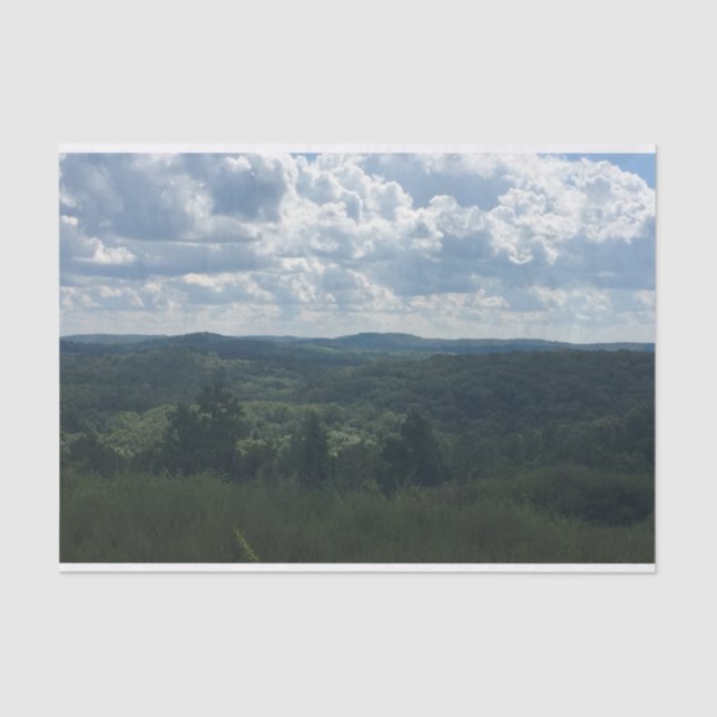 Papel De Seda Paisagem arborizada (Frente )