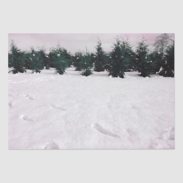 Papel De Seda Paisagem de inverno com larchas na neve (Frente )