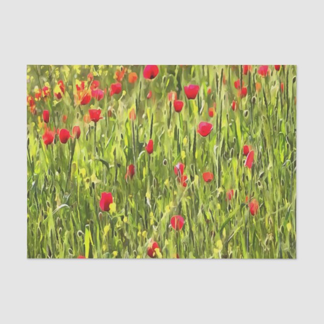 Papel De Seda Paisagem de Popia de Prado Artístico (Frente )