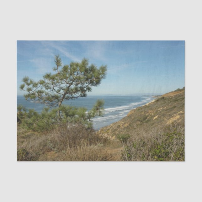 Papel De Seda Paisagem de Torrey Pine e Costa da Califórnia (Frente )