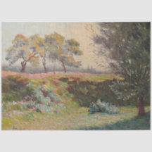 Paisagem do País (por Léo Gausson)