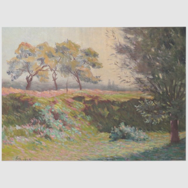 Papel De Seda Paisagem do País (por Léo Gausson) (Frente )