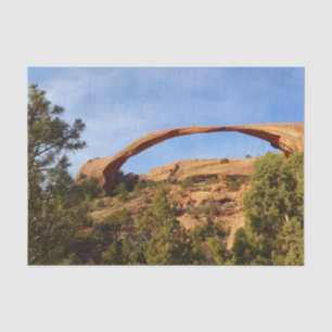 Papel De Seda Paisagem no Parque Nacional Arches