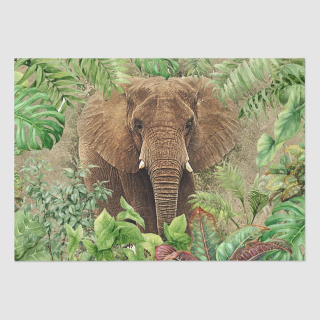 Papel De Seda Palma Tropical de Elefante (Frente )
