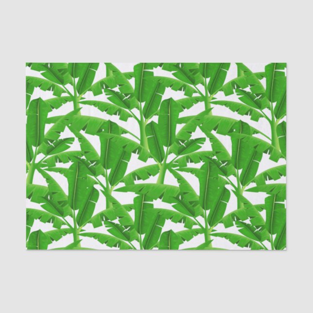 Papel De Seda Palmeira tropical verde (Frente )