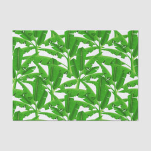 Papel De Seda Palmeiras tropicais verdes