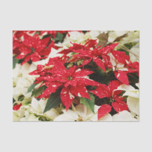 Papel De Seda Pancreatite Festiva Vermelha Branca