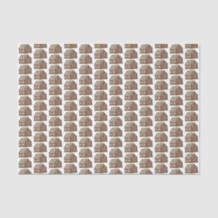Papel De Seda Pão de Gengibre Casa Feriado de Natal