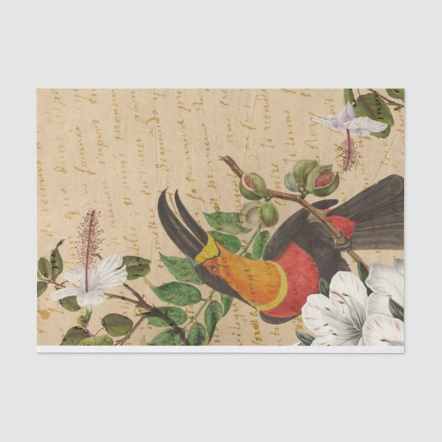 Papel De Seda Papagaio Tropical Antigo (Frente )