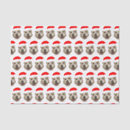 Papel De Seda Papai noel Buddy