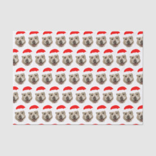 Papel De Seda Papai noel Buddy