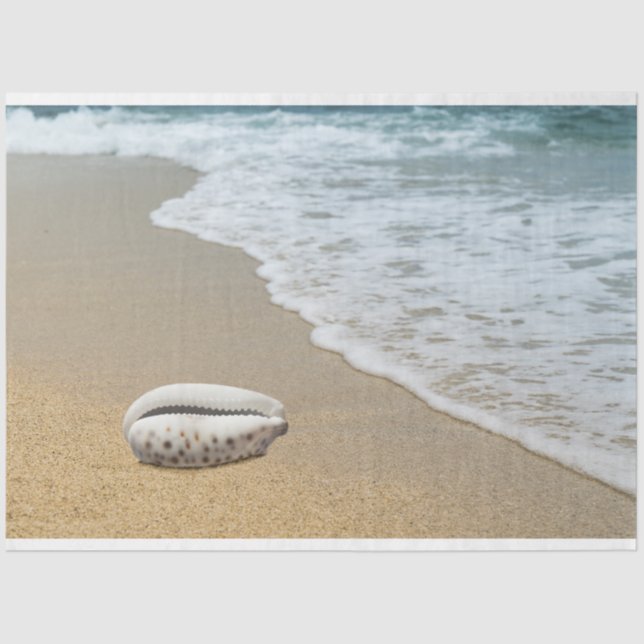 Papel De Seda Papel-chave Decoupage de Célula de Costela Oceânic (Frente )