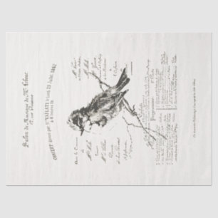 Papel De Seda Papel-chave para os desenhos do Salão de Música