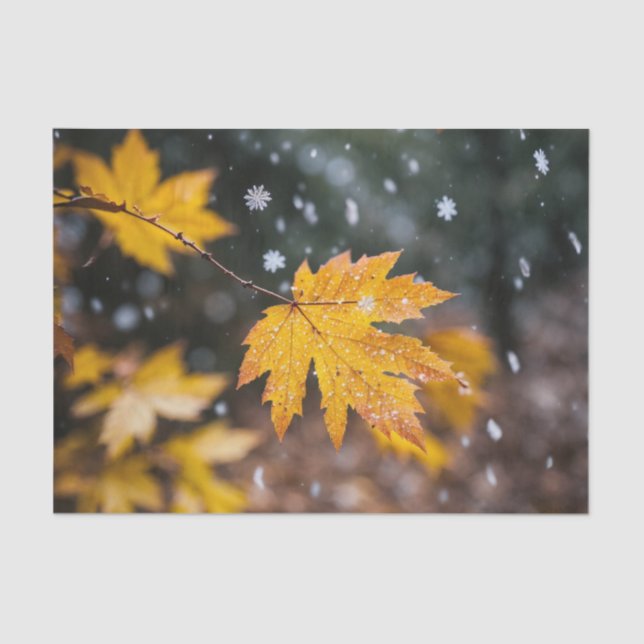 Papel De Seda "Papel de Tecido Padrão Elegante" (Frente )