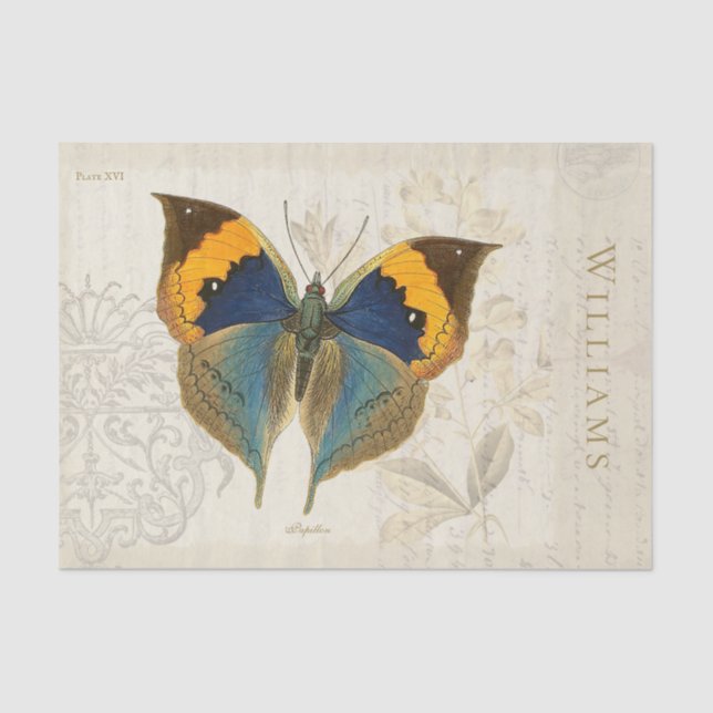 Papel De Seda Papel-Padrão de Borboleta Azul-Laranja (Frente )