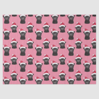 Papel De Seda Papel-Padrão Rosa-Rosa-Cinzento-Cinzento-Branco