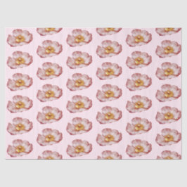 Papel De Seda Papel-Tecido Romântico Design 13 Série Rosa