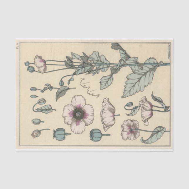 Papel De Seda Papoula, Série de Botânica de Eugene Grasset (Frente )
