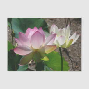 Papel De Seda Par de Flores de Lotus I