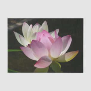 Papel De Seda Par de Flores de Lotus II