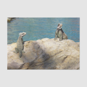 Papel De Seda Par de Fotografia Tropical de Iguanas