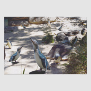 Papel De Seda Paraíso Seguro: Pinguim Fada,