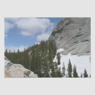 Papel De Seda Parque Nacional de Snowy Granite Domes II Yosemite