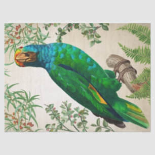 Papel De Seda Parrot Vintage Art