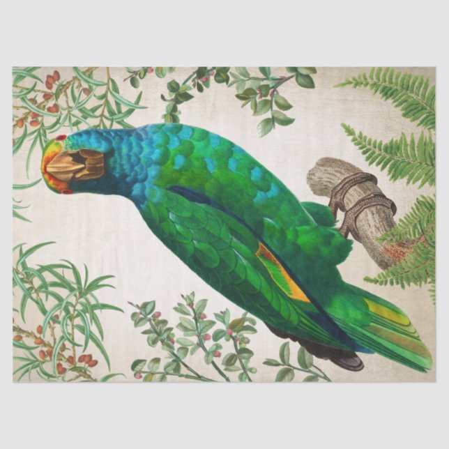 Papel De Seda Parrot Vintage Art (Frente )