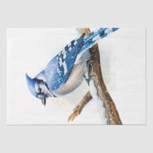 Papel De Seda Pássaro Azul-Jay